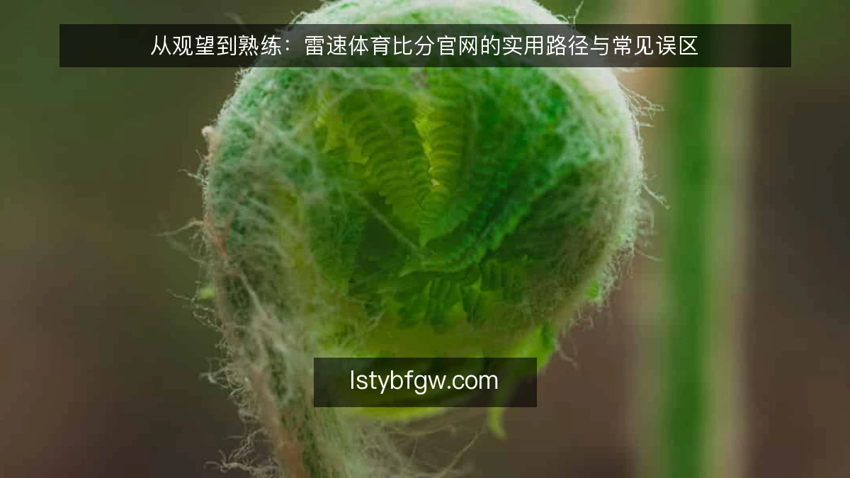 从观望到熟练：雷速体育比分官网的实用路径与常见误区